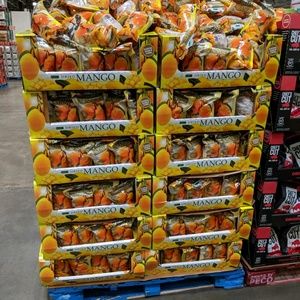 Meet your Posher, Holly